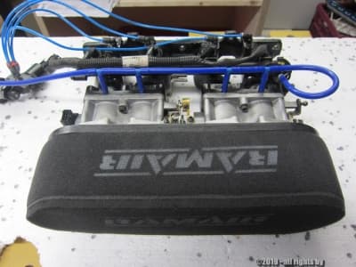 "throttle bodies" in the house !